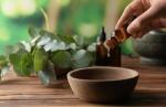 A Beginner’s Guide to Essential Oils: Benefits, Blends, and Best Practices