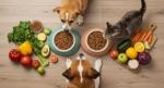 Why Pet Nutrition Deserves the Same Attention as Human Nutrition